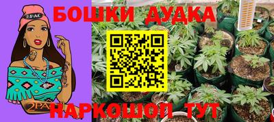 амф Дубна
