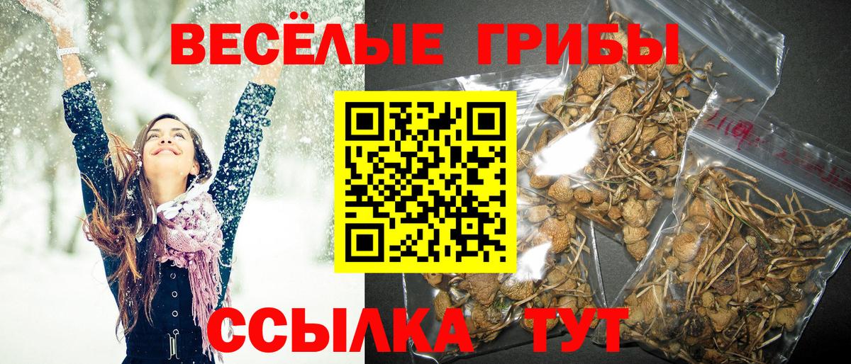 Галлюциногенные грибы Psilocybine cubensis  Вход с VPN  Галлюциногенные грибы Magic Shrooms  Луга 