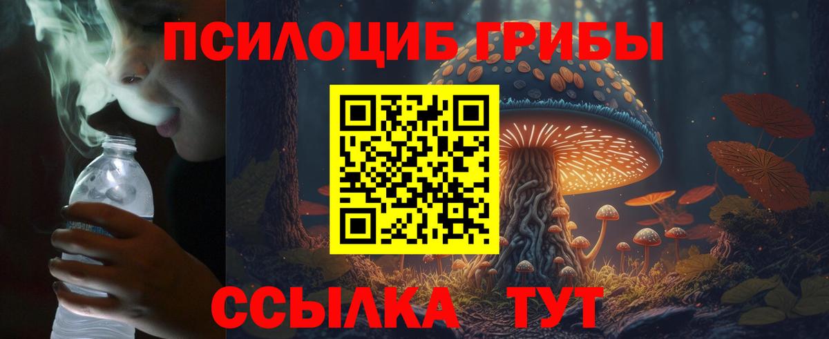 Галлюциногенные грибы Cubensis Луга